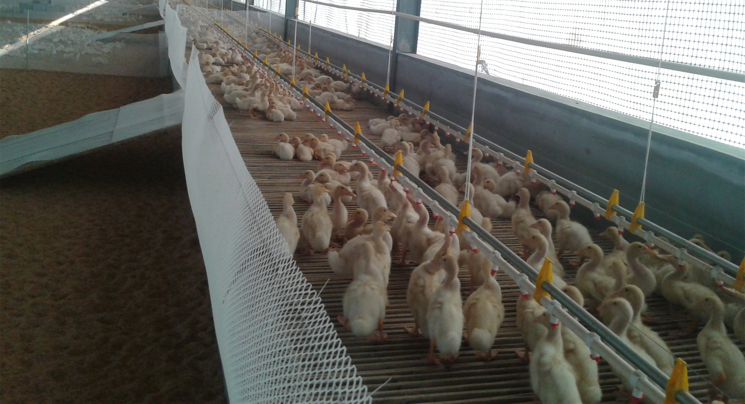 �B(y��ng)���O(sh��)��-�� ˮ��