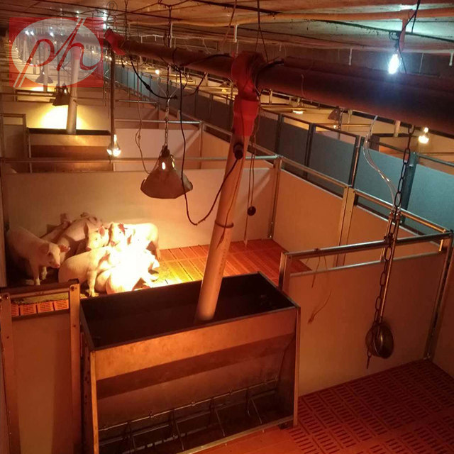 ������,С�i���������߶˱�����λ�����ر�����